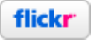 Flickr logo badge, on white